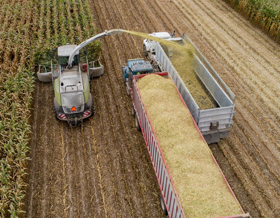 Corn and Soybean Commodities - Wills Logistics, llc.